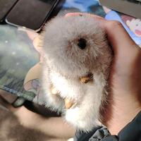 洁禾优品抖音达人头像