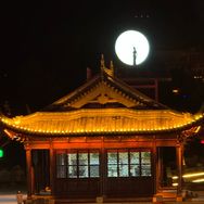 多多童车抖音达人头像