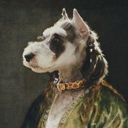曹匹诺🐶抖音达人头像