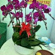 义乌绘度多元好物店抖音号头像