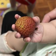 REE抖音达人头像