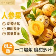 云南石林人参果一姐-中队长抖音达人头像