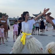 小白狮杨姐（每晚9点01分直播）抖音达人头像