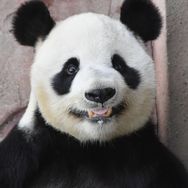 若水三千抖音达人头像