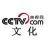 央视网文化抖音达人头像