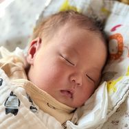 派了个派派抖音达人头像