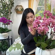 锦卉园艺抖音号头像