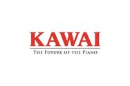 卡瓦依KAWAI大和田乐器专卖店抖音达人头像