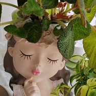 花儿的花园抖音达人头像