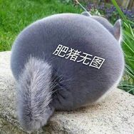 咸鱼之王小吕布抖音达人头像