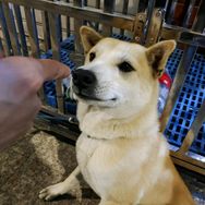 董哈哈抖音达人头像