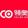 领奥官方旗舰店抖音达人头像
