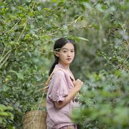 茶山小原抖音达人头像