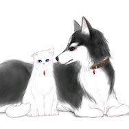 馋猫饿犬抖音达人头像