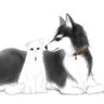 馋猫饿犬抖音达人头像