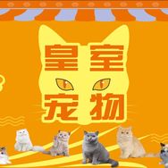 皇室宠物（清货版）抖音达人头像
