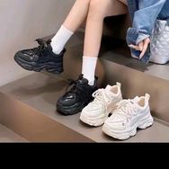 小陈真皮女鞋1抖音达人头像