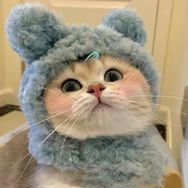 喵汪𝘾𝙡𝙪𝙗抖音达人头像