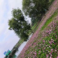桃花雨（拒绝连赞）抖音达人头像