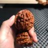 杉遇文玩（精品核桃）抖音达人头像