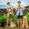 达达抖音达人头像