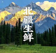 疆邮鲜仓抖音达人头像