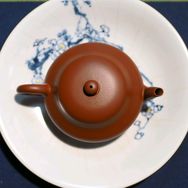 茶缸里的鱼抖音达人头像