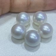 施魅特珍珠粉一源头养殖户抖音达人头像