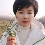 春风小凤农资抖音达人头像