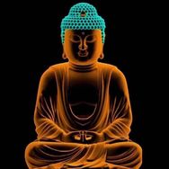 诚实的老钱表妹文团抖音号头像