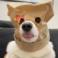 科记奇闻抖音达人头像
