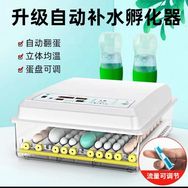 博实孵化器0基础成功孵化抖音号头像