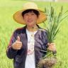 丰收侠姐抖音达人头像