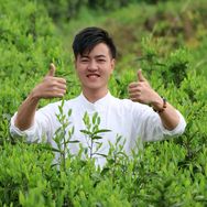 乡村小林抖音达人头像