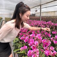 植悟生活（加强版）抖音达人头像