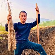 大鹏农产品【铁棍山药】抖音号头像