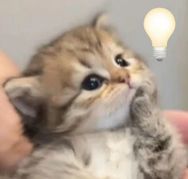 荡秦百货店抖音号头像