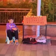 压岁钱养猫的马大恒抖音达人头像
