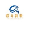 蝶岛海歌官方旗舰店抖音号头像