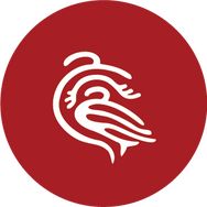 廖记棒棒鸡官方旗舰店抖音号头像