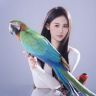 小鹦姐姐 聚鹦堂重生版抖音达人头像