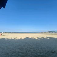 鱼话商贸抖音号头像