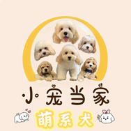 宁海小宠当家可卡布～抖音达人头像