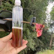 湘润堂小店抖音达人头像