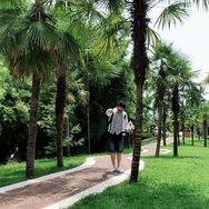 胖老师留学抖音达人头像