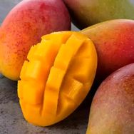 优聚慧.贵妃芒之恋抖音号头像