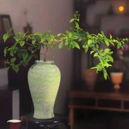 淡写流年抖音号头像
