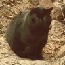 我和流浪猫抖音达人头像