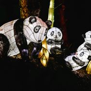 吴经夜谈抖音达人头像