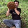 乡村小刚抖音达人头像